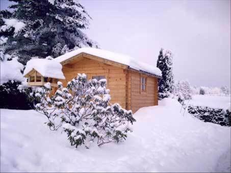 Apartment Juengst Winterberg Exterior foto