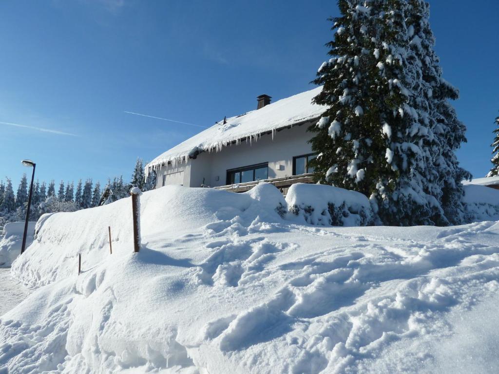 Apartment Juengst Winterberg Exterior foto